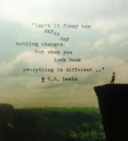 cs lewis day by day everything is different