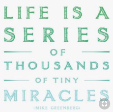 life is a series of thousands of tiny miracles
